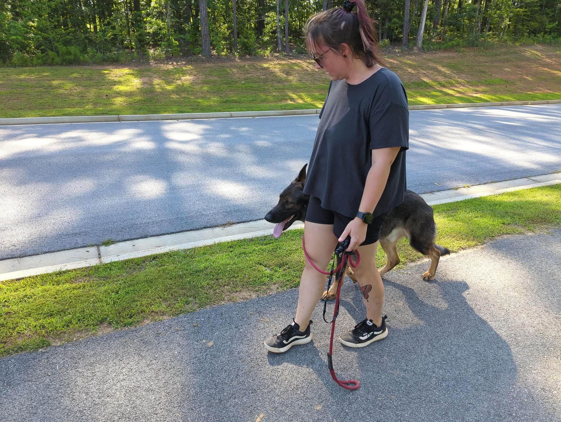 K9 Coaches LLC gallery photo