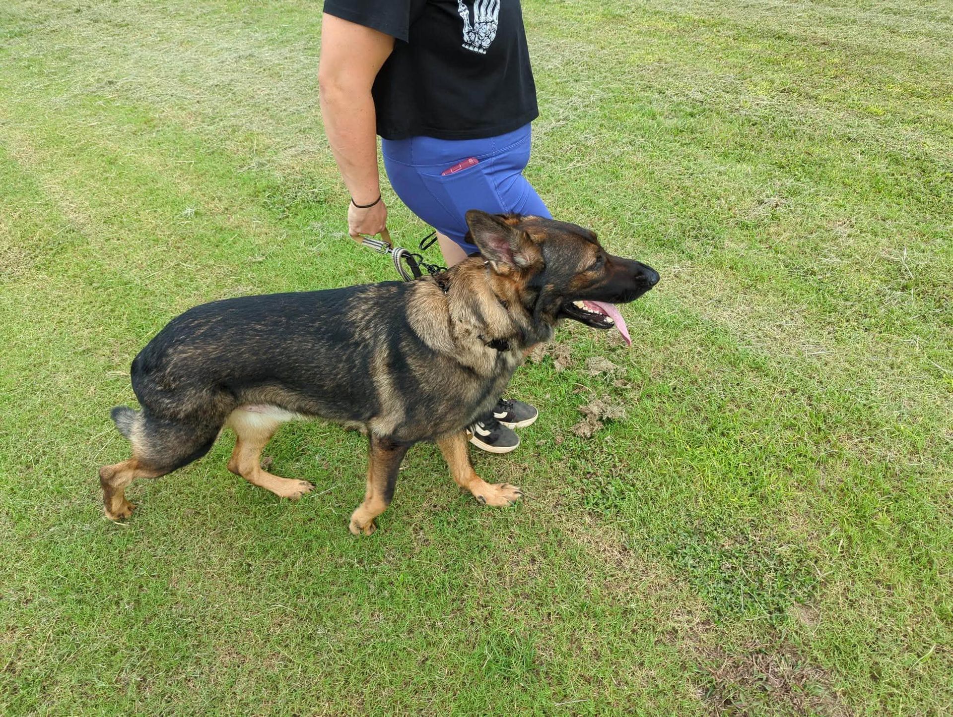 K9 Coaches LLC gallery photo