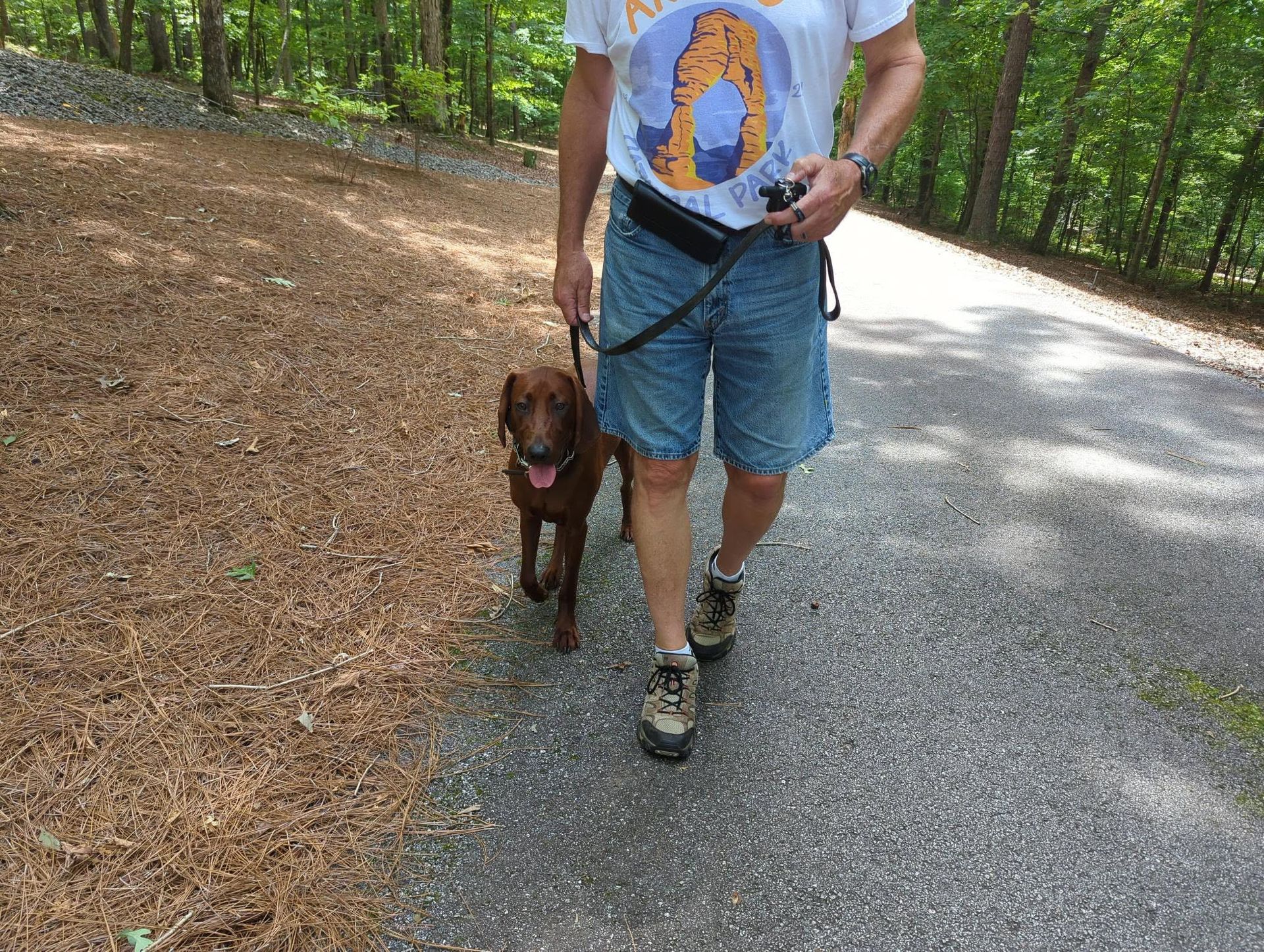 K9 Coaches LLC gallery photo