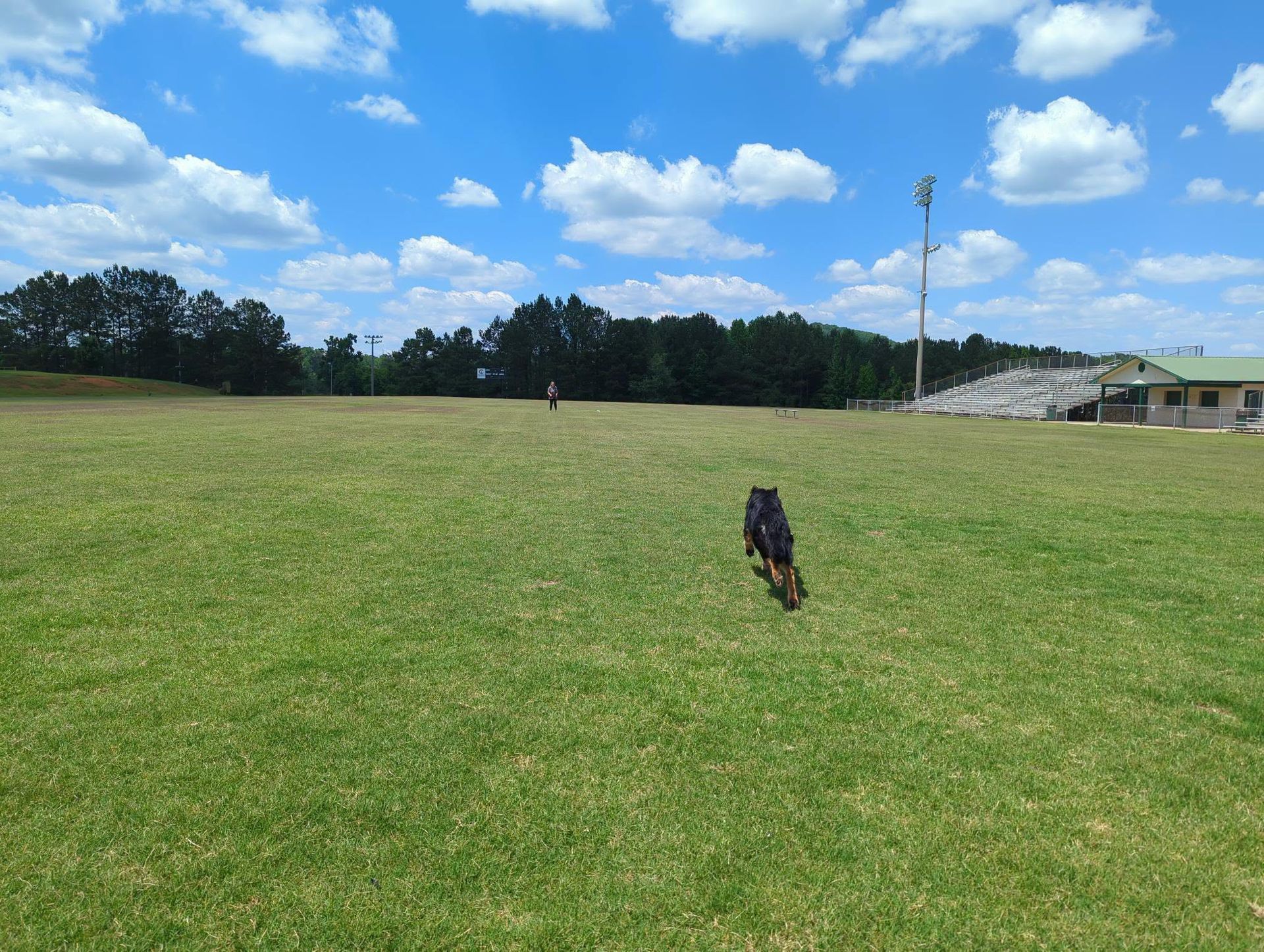 K9 Coaches LLC gallery photo