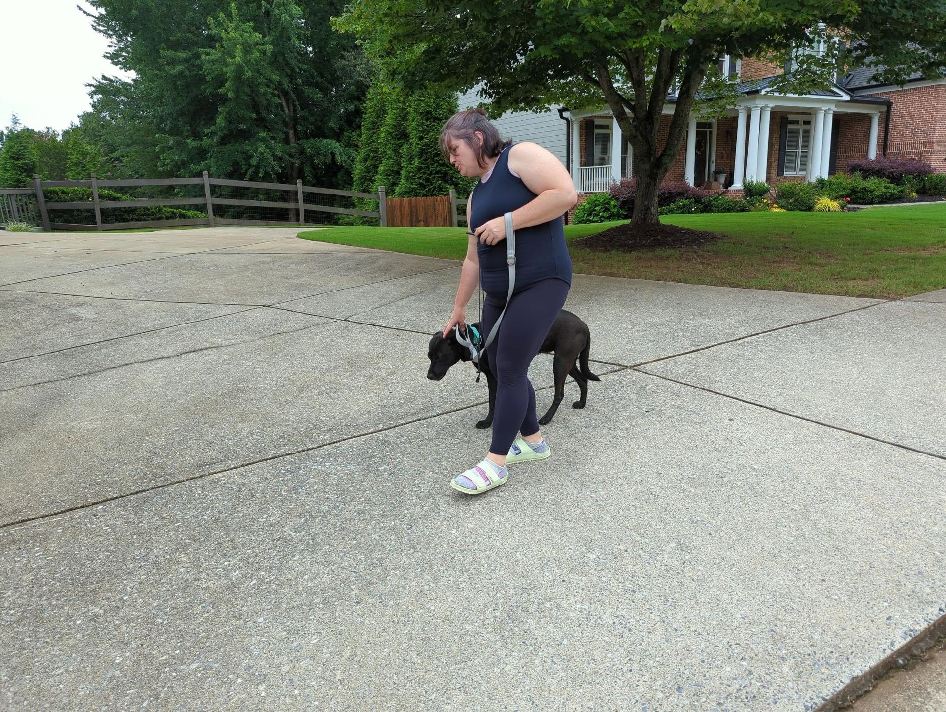 K9 Coaches LLC gallery photo