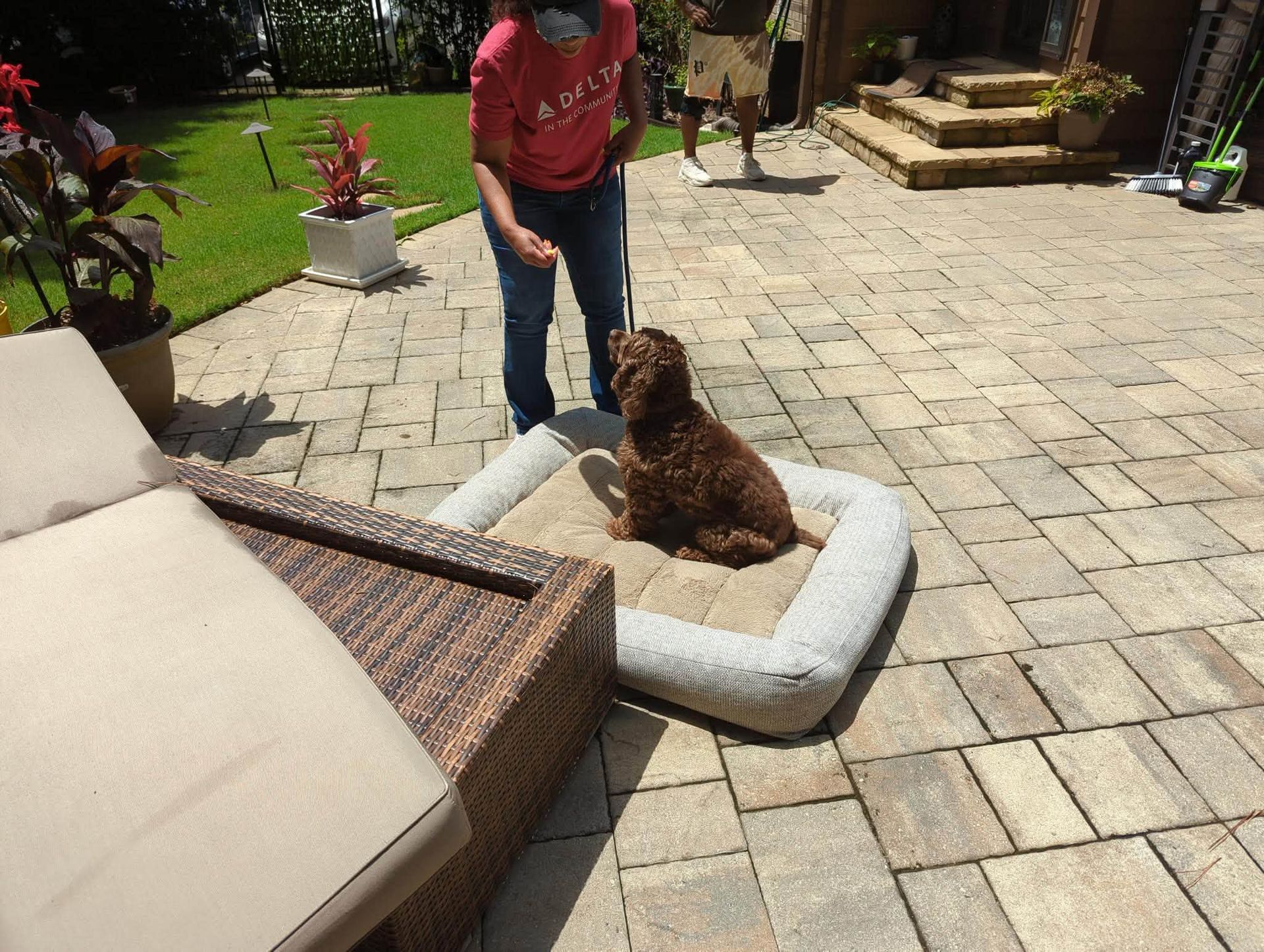 K9 Coaches LLC gallery photo