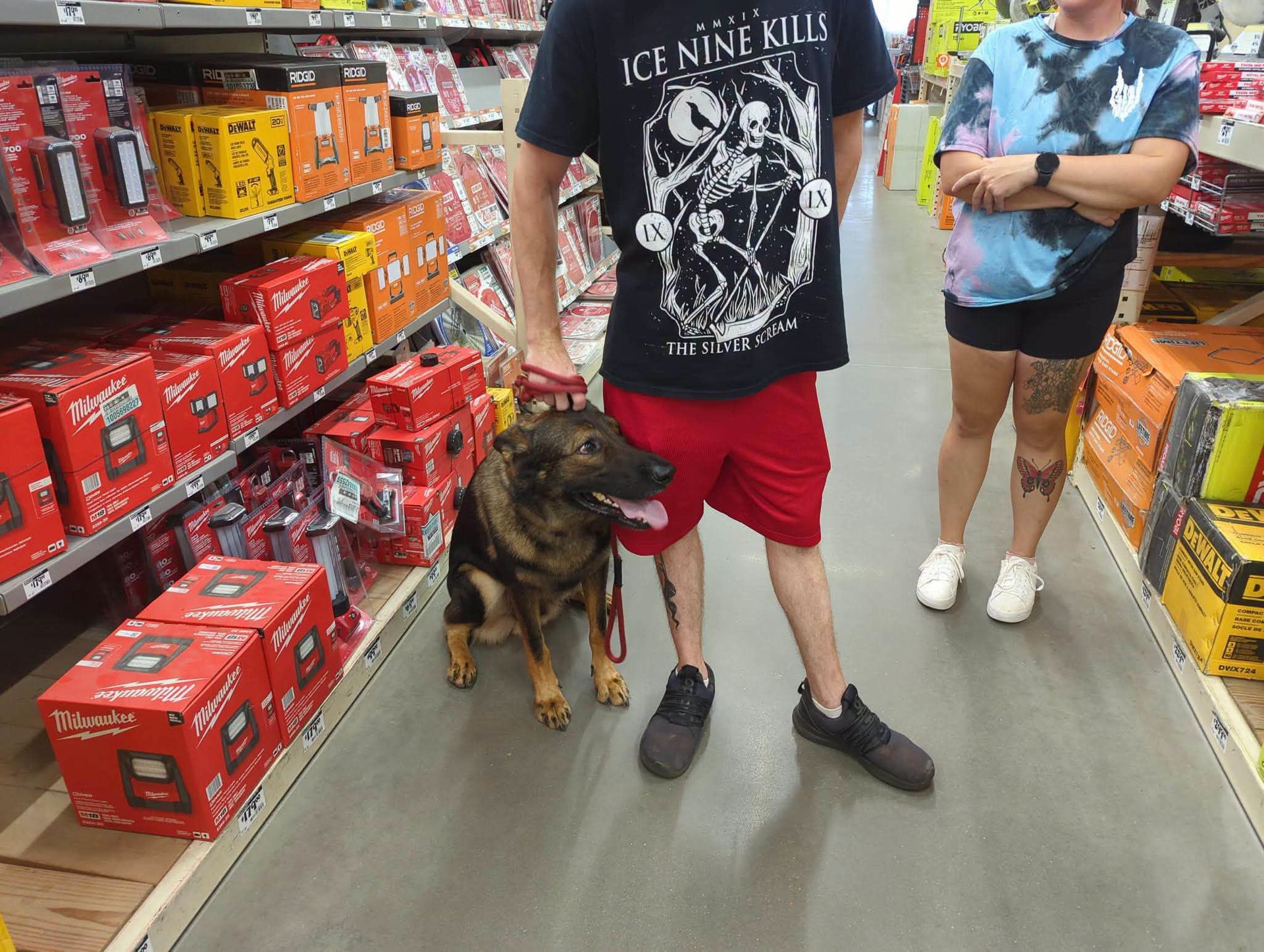 K9 Coaches LLC gallery photo