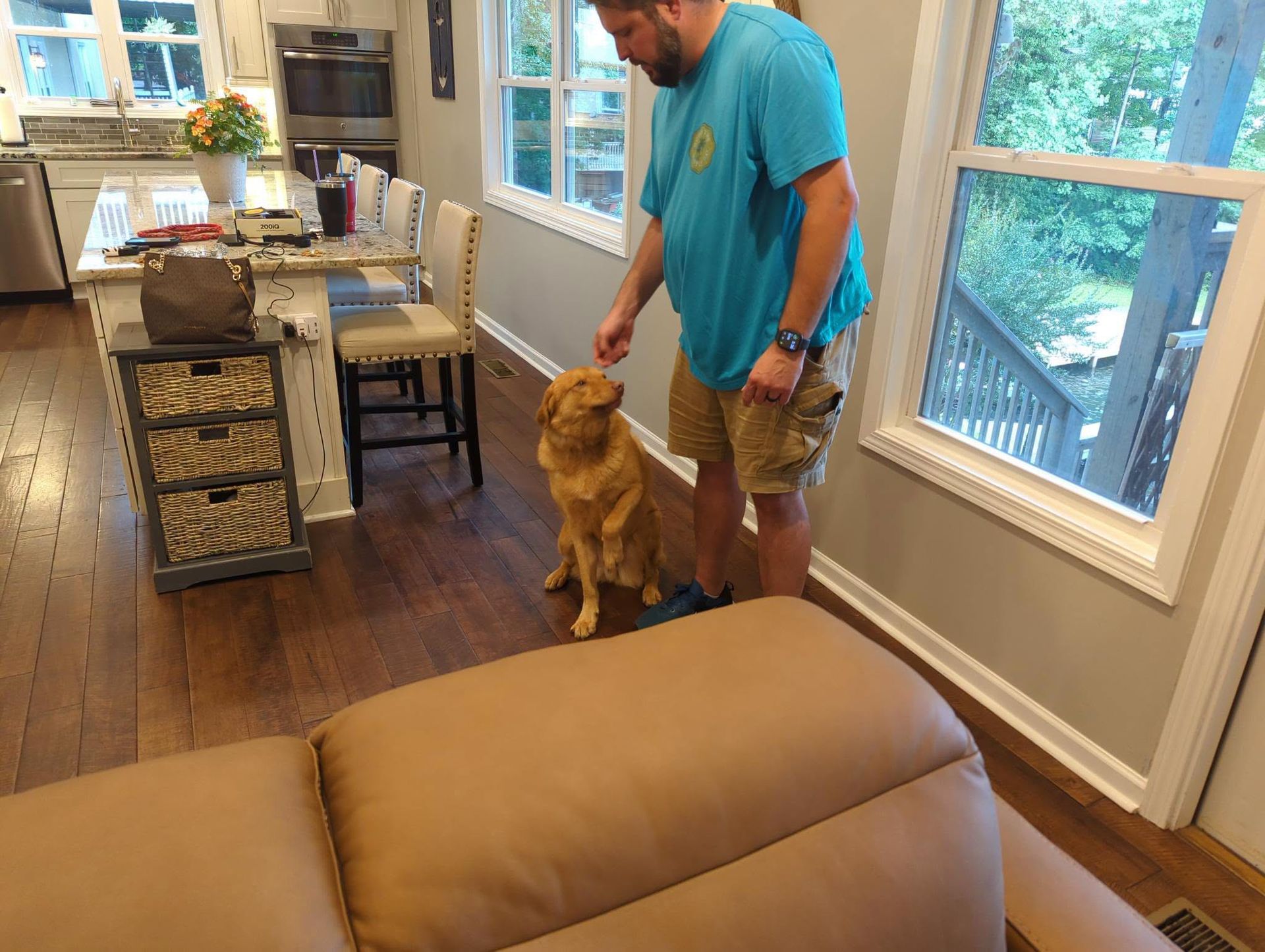 Senior Dog Training