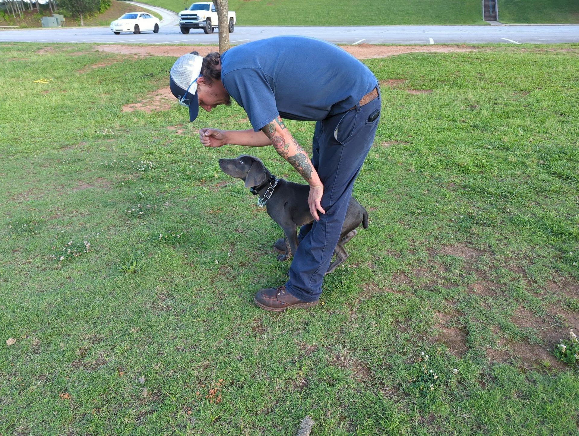 Advanced Dog Obedience Training