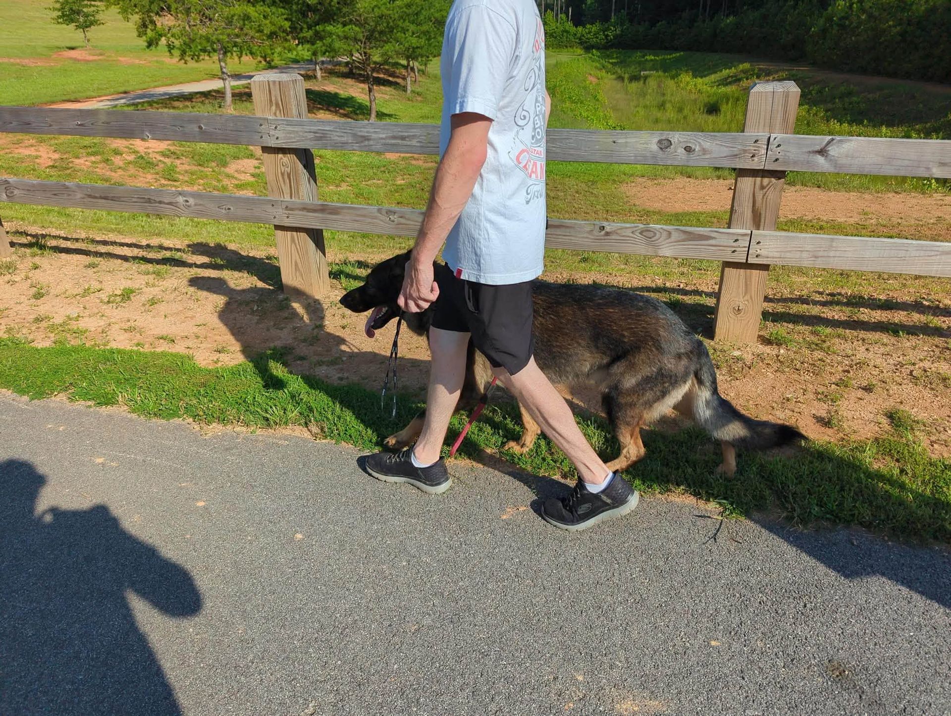 K9 Coaches LLC gallery photo