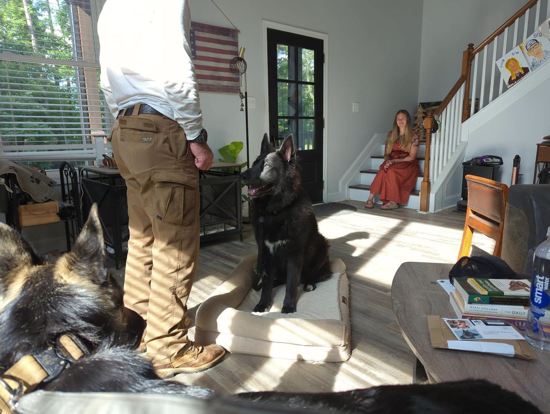 Reactive Dog Training