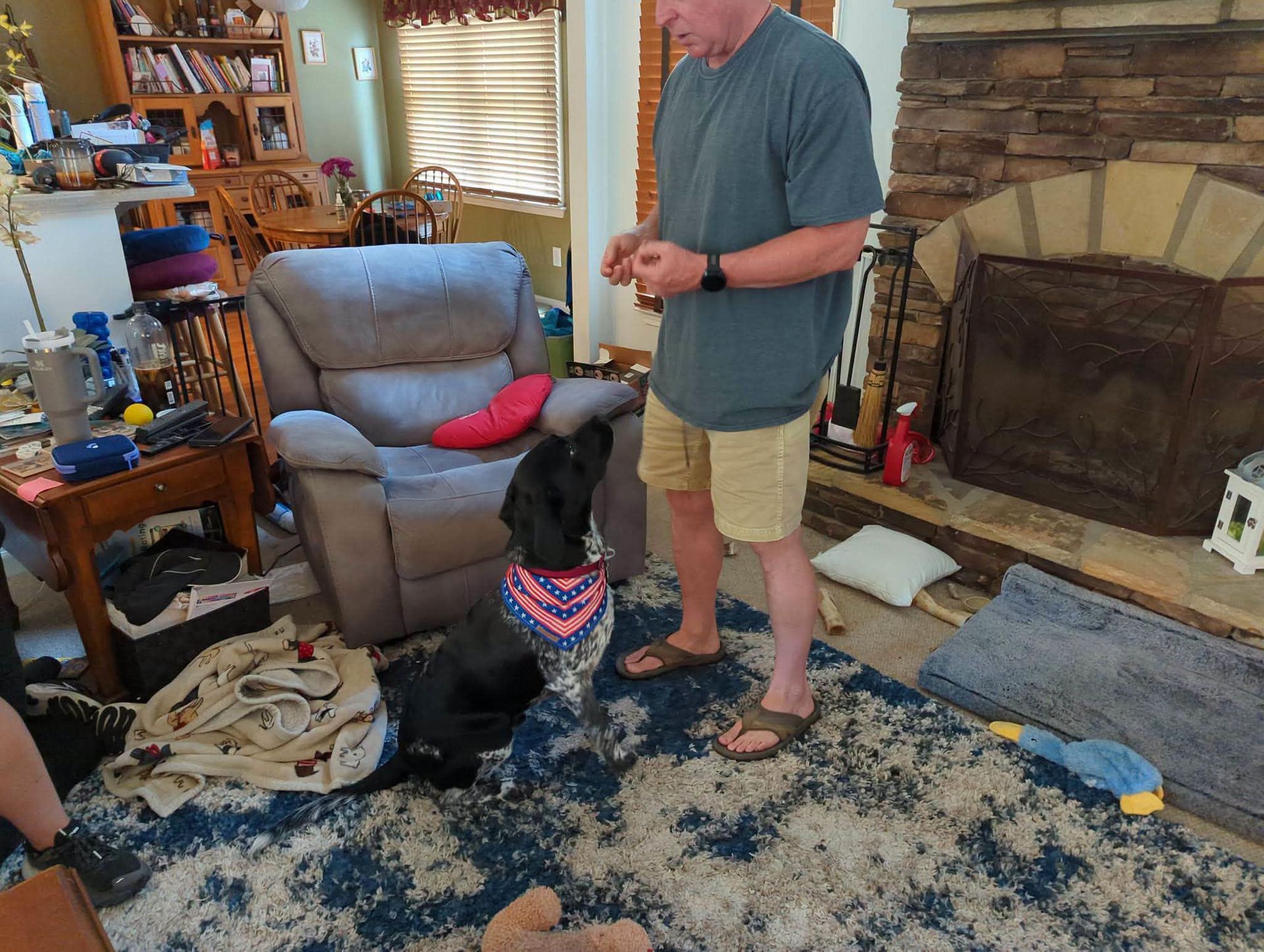 K9 Coaches LLC gallery photo