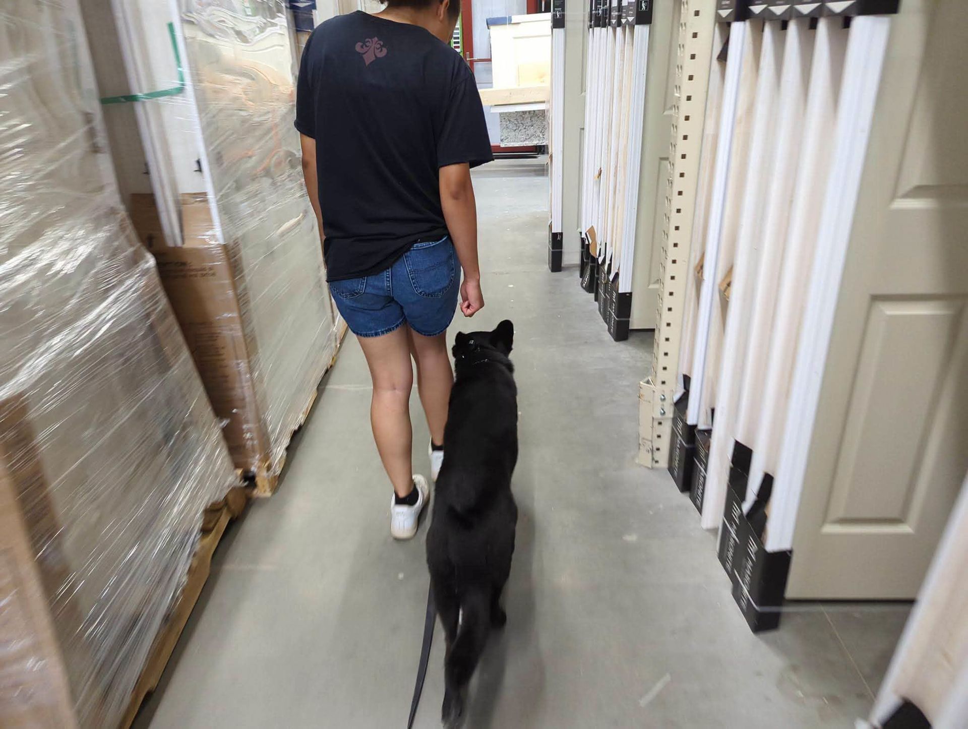 K9 Coaches LLC gallery photo